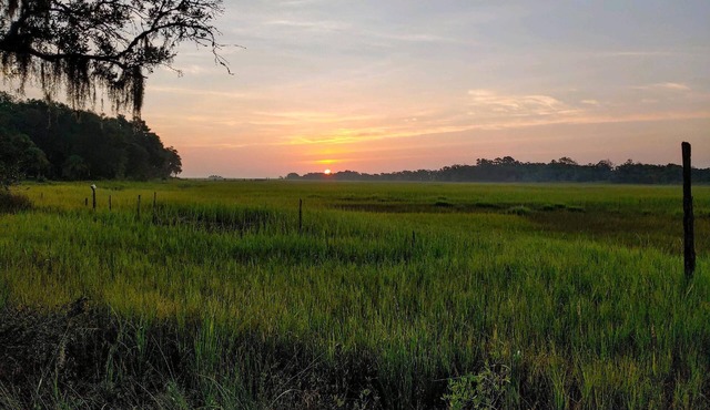"The Mini Hideaway"-Short drive to Hunting Island State Park(PASS INCLUDED)