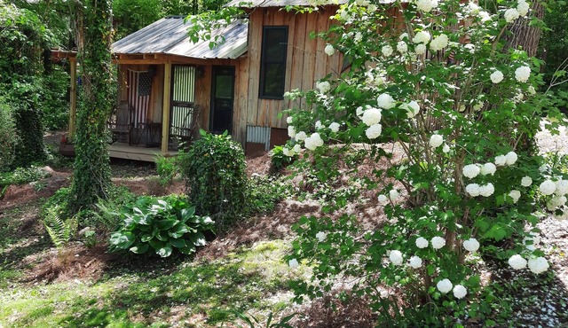 The Rusty Nail, Shabby Chic Tiny Home/House!