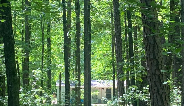 Tiny Retreat with boat dock , Lake Hartwell, GA