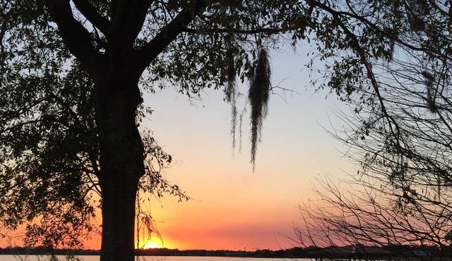True Whimsical Lakefront Getaway; Loved By Returning Snowbirds!