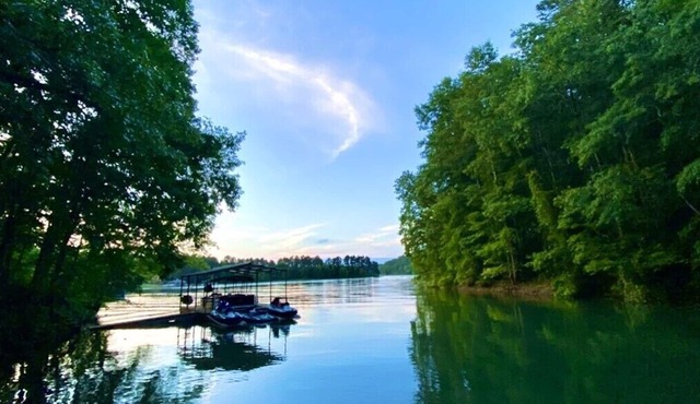 Tugaloo Tuck-In on Lake Hartwell, PRIVATE COVE, covered dock, huge yard, firepit