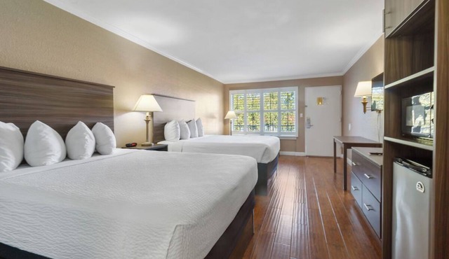 Vero Beach Inn and Suites | Queen Deluxe Room | Pet Friendly Accommodation