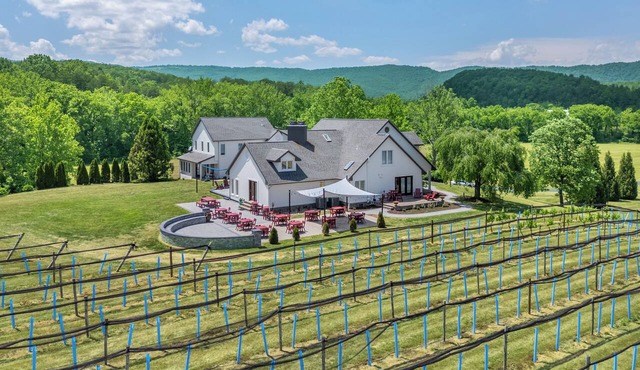Welcome to Tangled Wisdom, a spacious countryside retreat featuring the Estate House and Garden Suite, with mountain views, a game lounge, sunroom, and accommodations for larger groups.