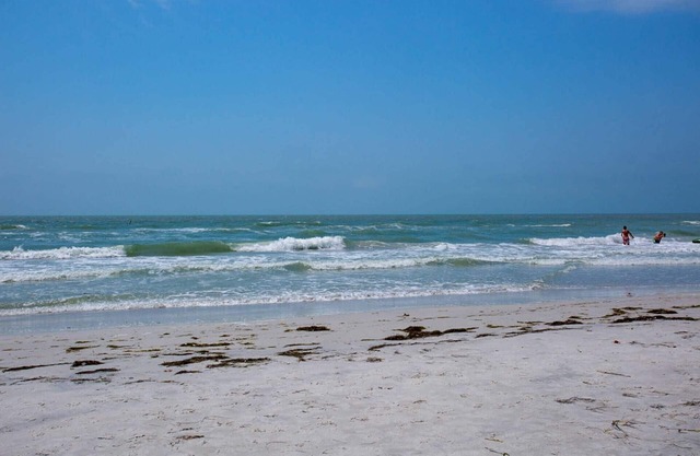Royal Orleans Redington Beach 