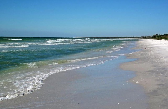 Gulf Pines