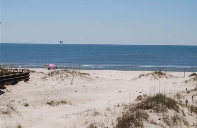 Home is where the ocean is! Book your town house today! ☀️🐬
