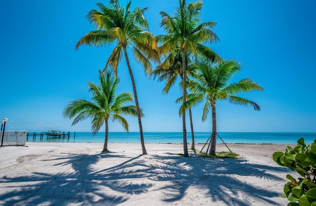PB, Beach, Pool, Tennis, Hot Tub, family friendly, arrive any day