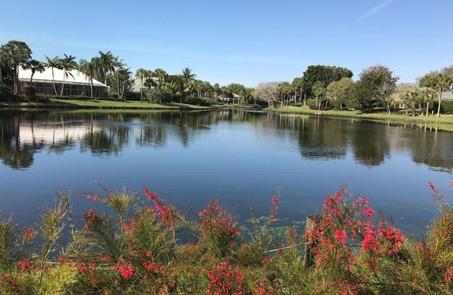 Pelican Bay 