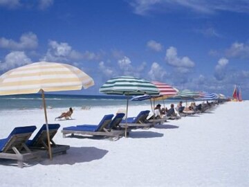 Sea Winds in Sarasota