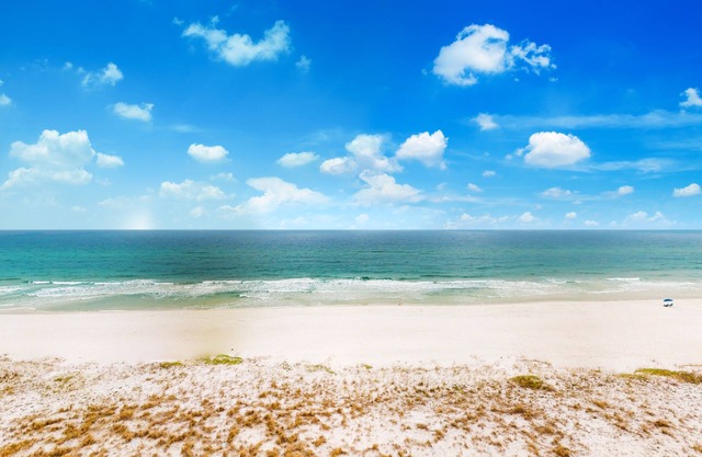 Sixth-floor condo with direct Gulf-front views & on-site picnic area & grills