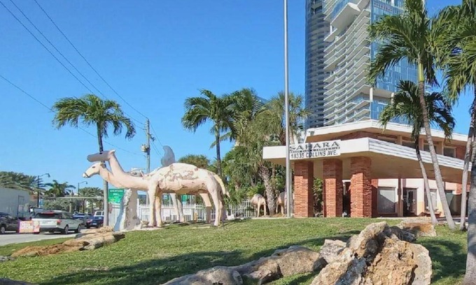 Sunny Isles Beach Hotel | 19 m² Hotel ∙ 4 guests