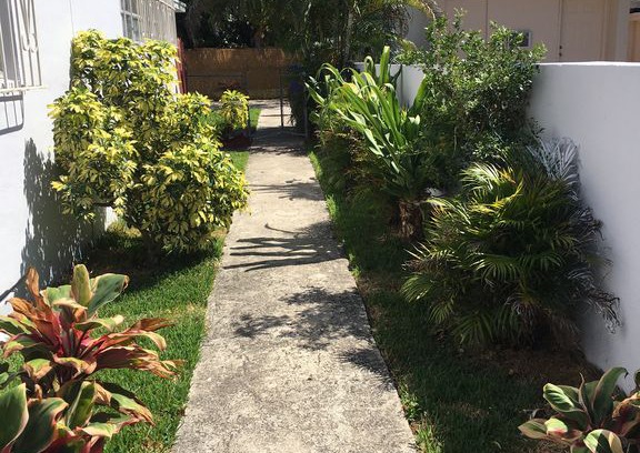 Allapattah House | Amazing Guest house in West Wynwood.
