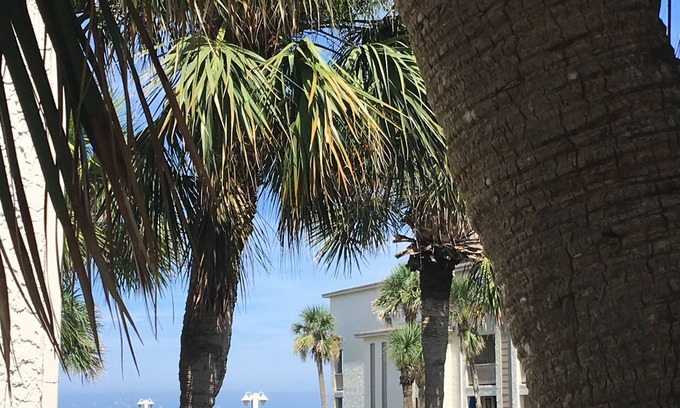 Crescent Beach Condo | Best Beach view condo 2 story 2br 1.5ba views of ocean,pool & intercoastal.