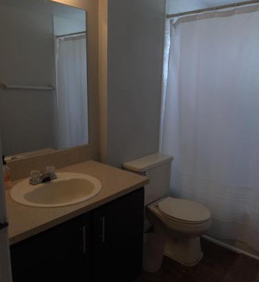Greenacres Hostel | Cozy room for rent