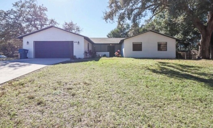 Spring Hill House | Safe house