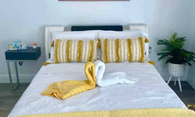 Tampa Apartment | Studio Lexury Lopez