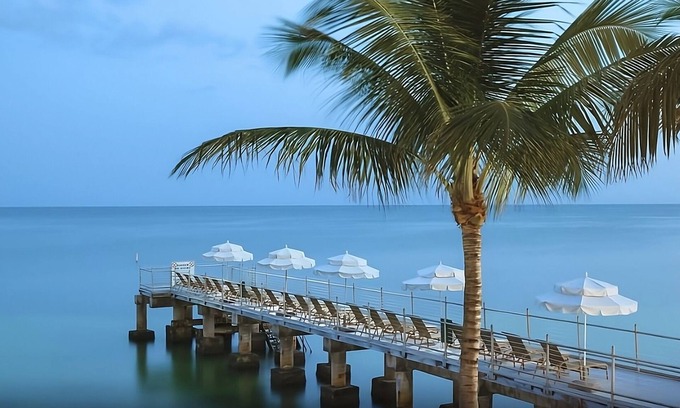 Uptown - Upper Duval House | Your Exciting Florida Vacation Starts Here! Ocean View, 3 Pools, Nightlife!