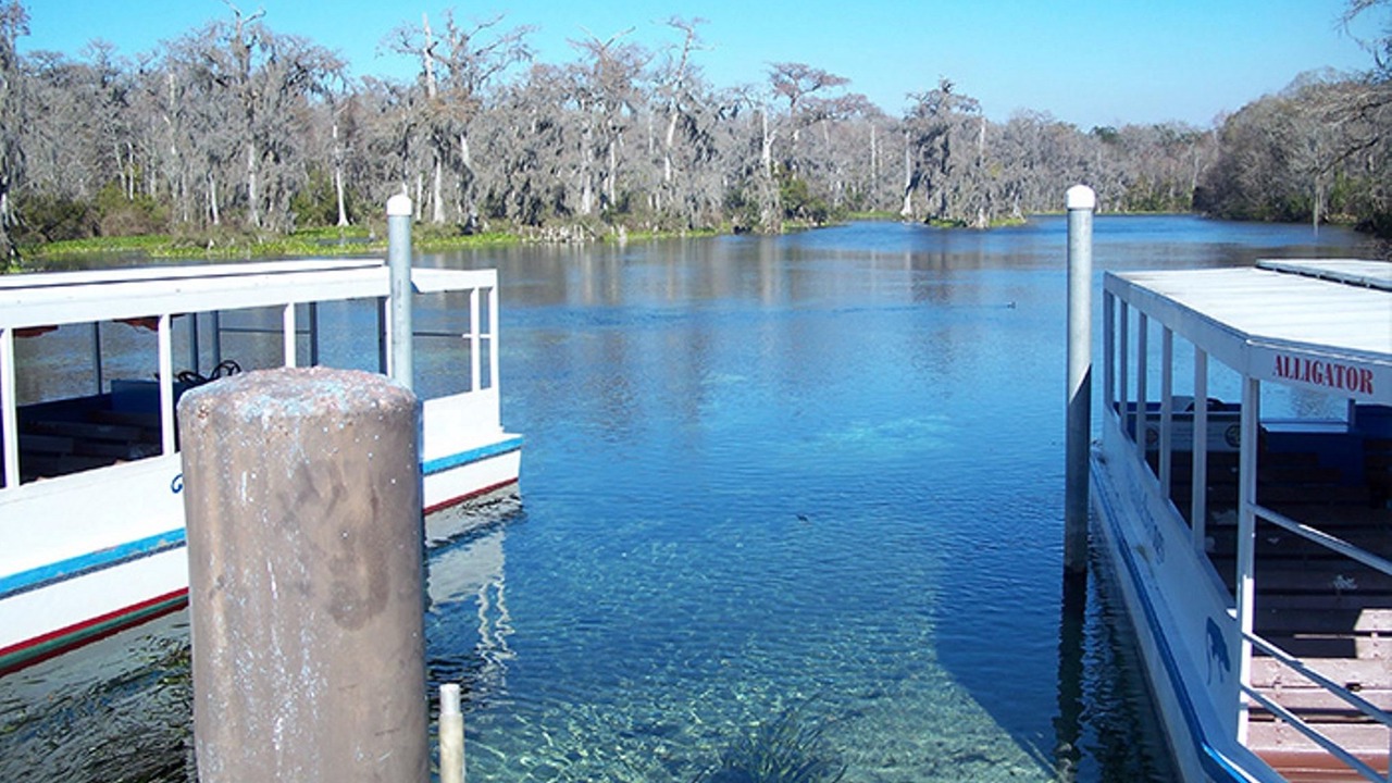 Photo of Outdoor in Wakulla Springs