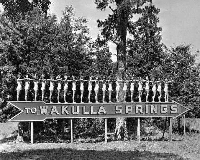 Photo of Buildings in Wakulla Springs