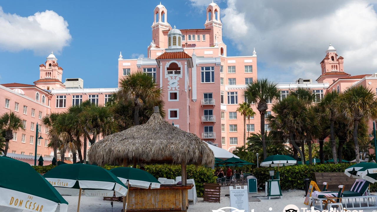 Photo of Others in St. Pete Beach