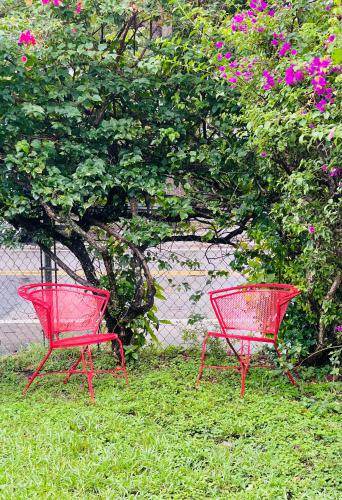 Photo of Outdoor in Southwest Coconut Grove