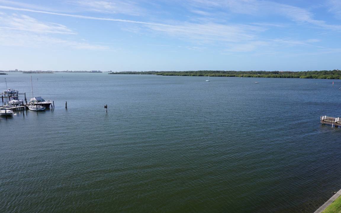 Photo of Others in St. Petersburg - Clearwater