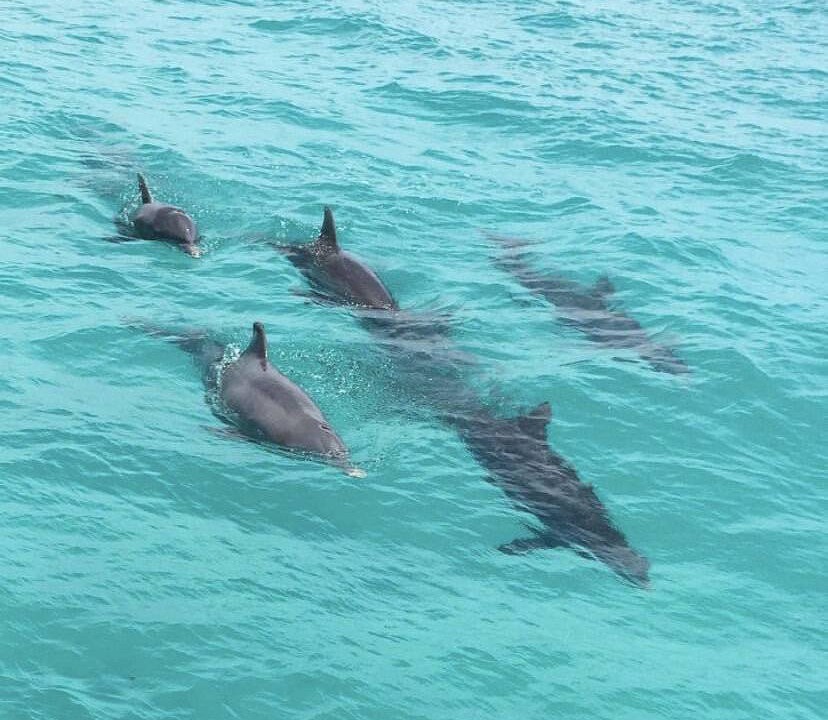Photo of Others in Indigo Reef Marina Homes