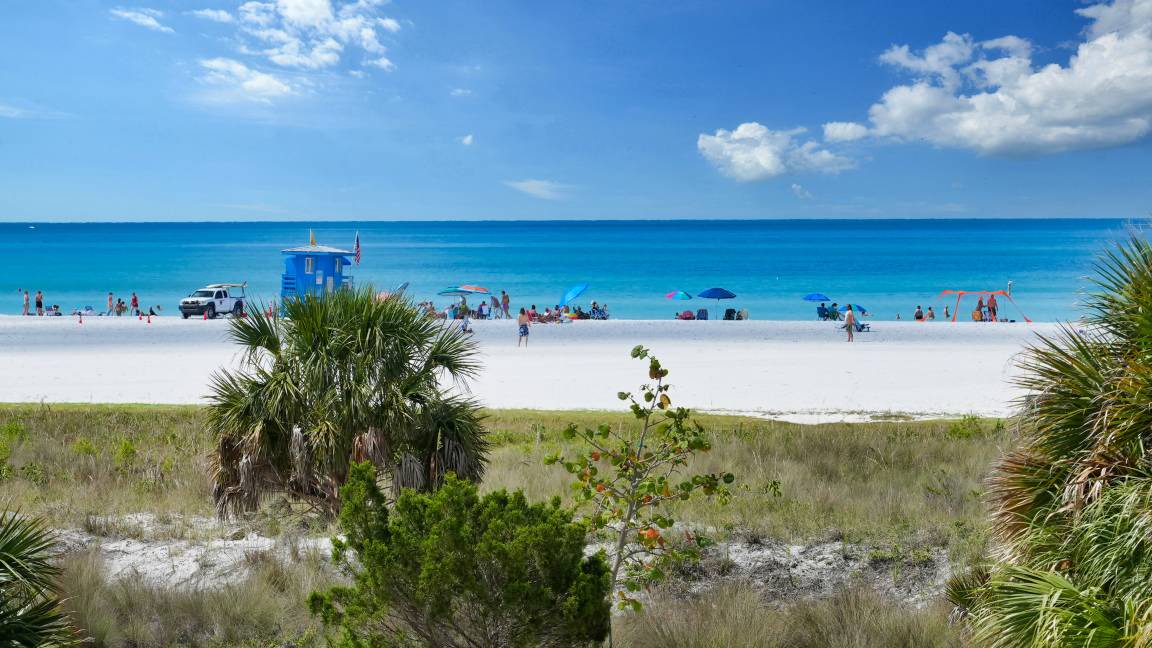 Photo of Others in Siesta Key