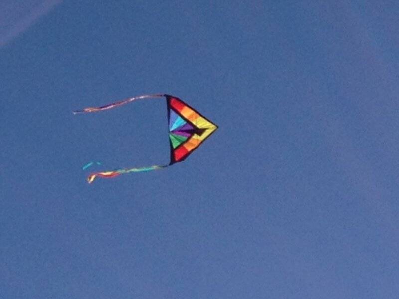 Photo of Others in Longboat Key