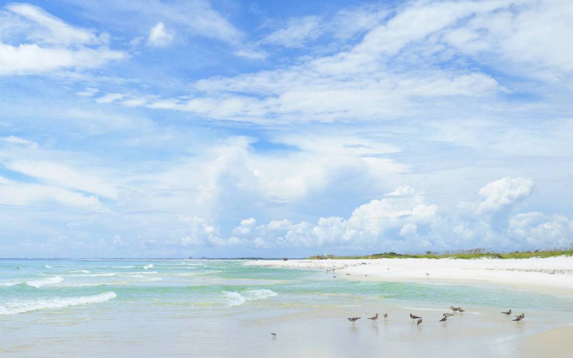 Photo of Others in South Pensacola
