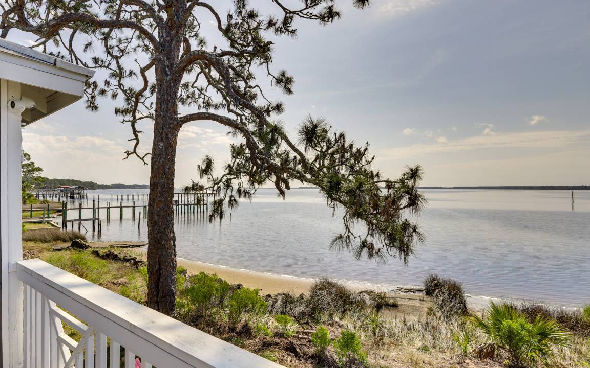 Photo of Others in Ochlockonee Bay