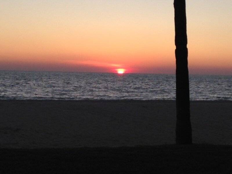 Photo of Others in Longboat Key