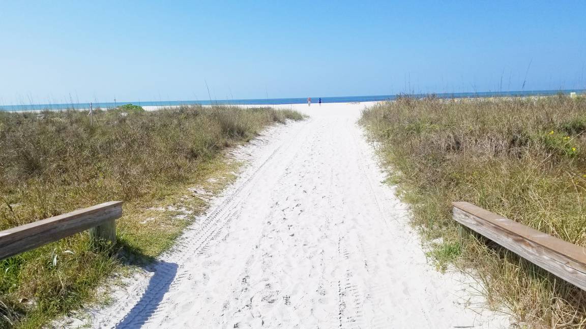Photo of Others in St. Petersburg - Clearwater