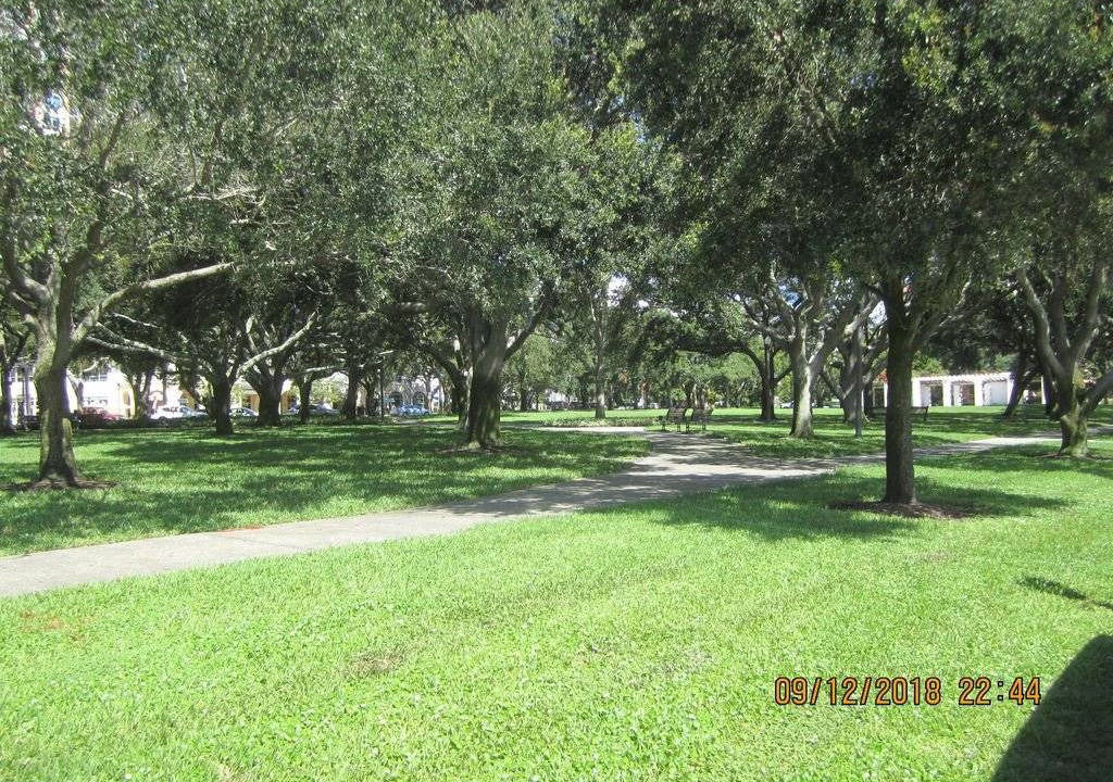 Photo of Others in St. Petersburg - Clearwater
