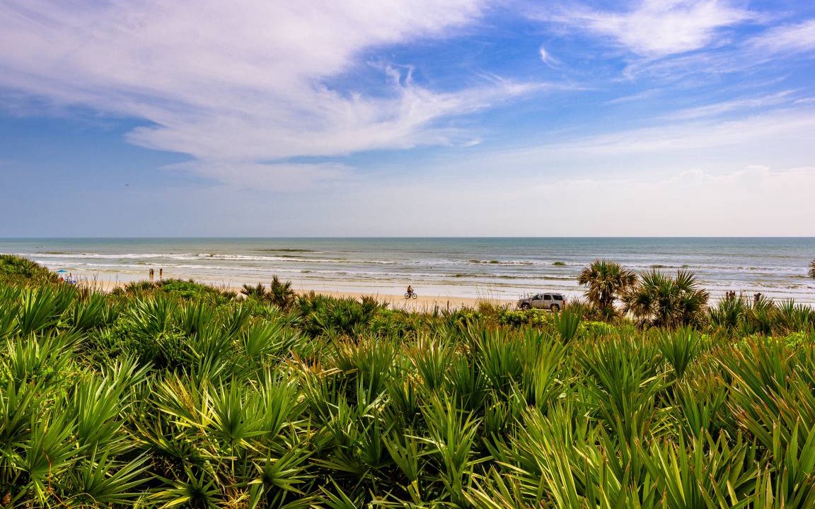 Photo of Others in New Smyrna Beach