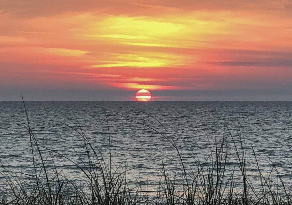 Photo of Others in Port St. Joe