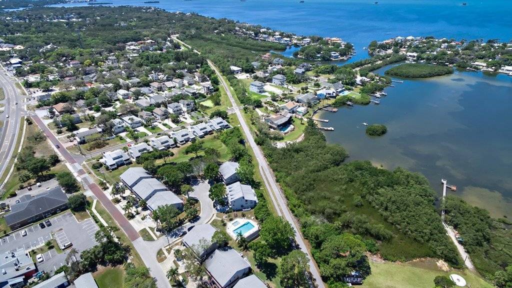 Photo of Others in Palm Harbor