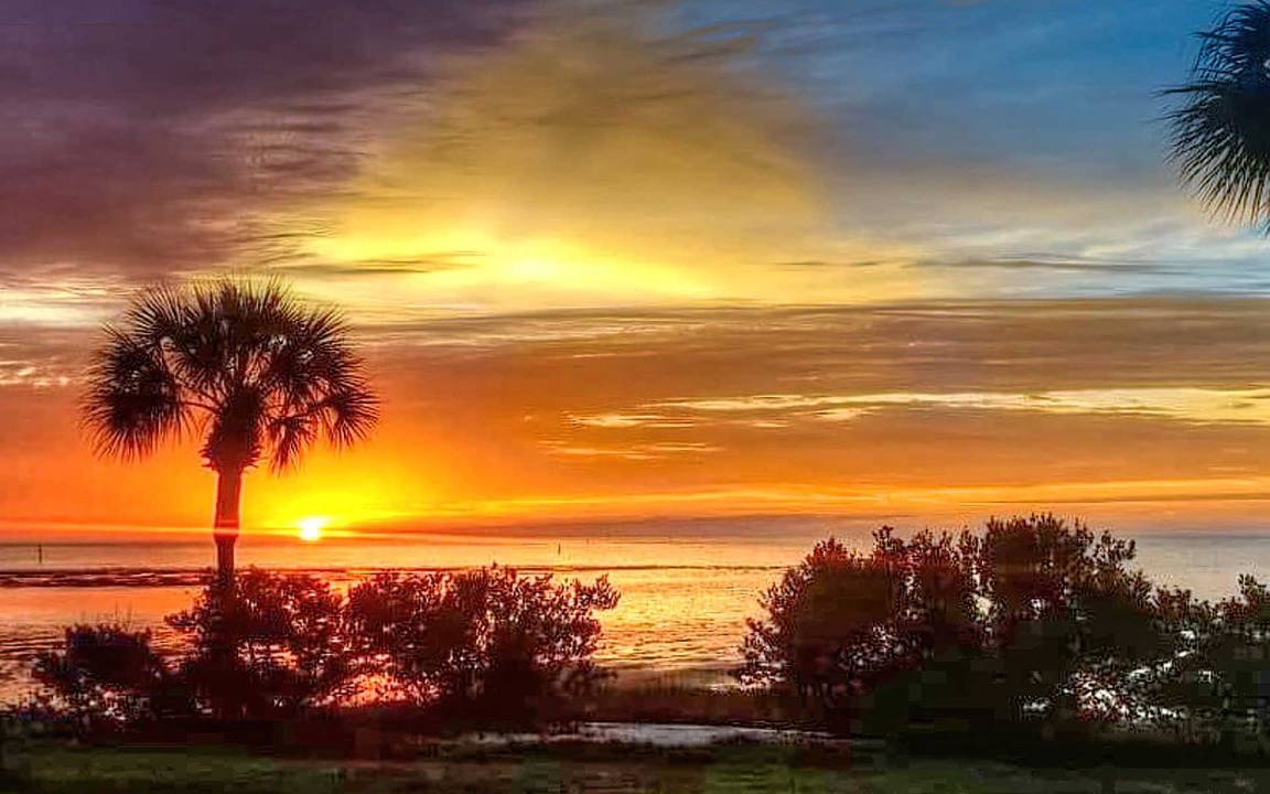 Photo of Others in Cedar Key