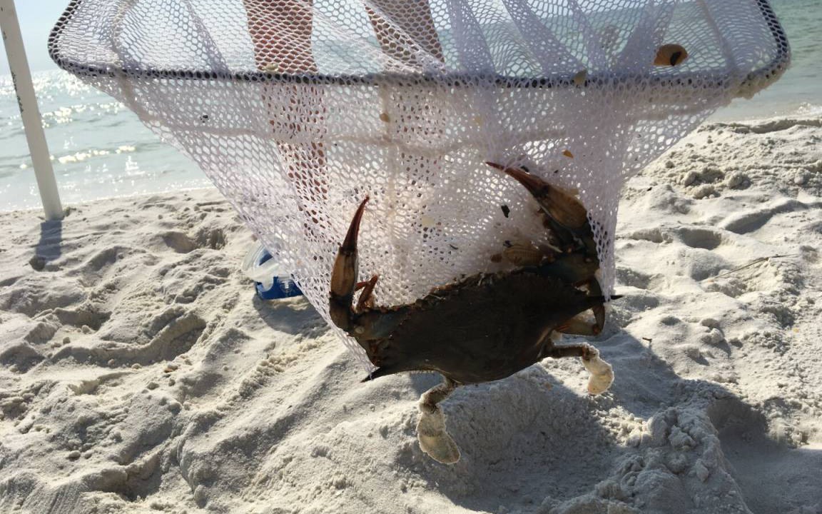 Photo of Others in Port St. Joe