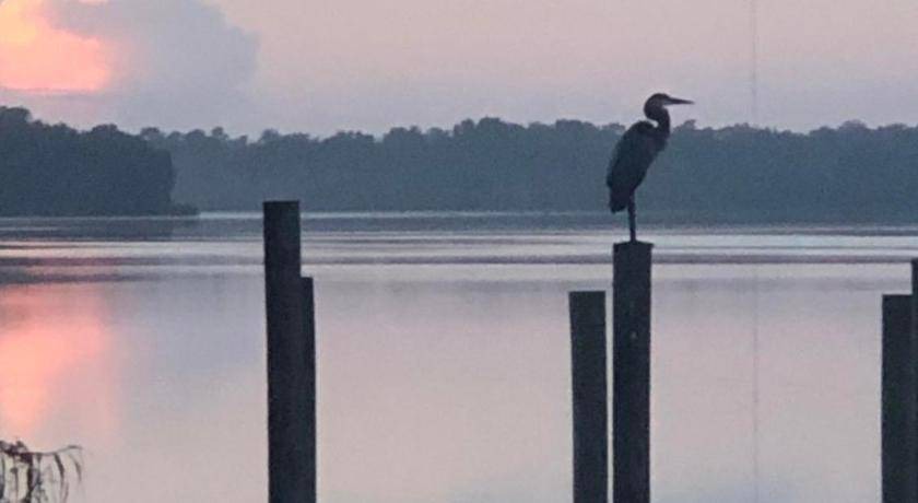 Photo of Others in DeLand