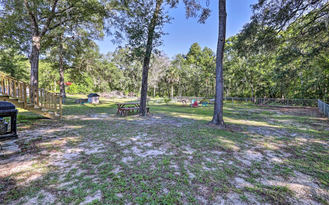 Photo of Others in Steinhatchee