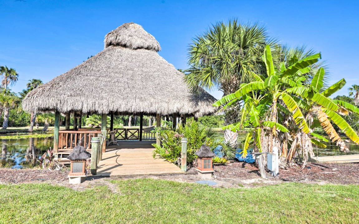 Photo of Others in Tropic
