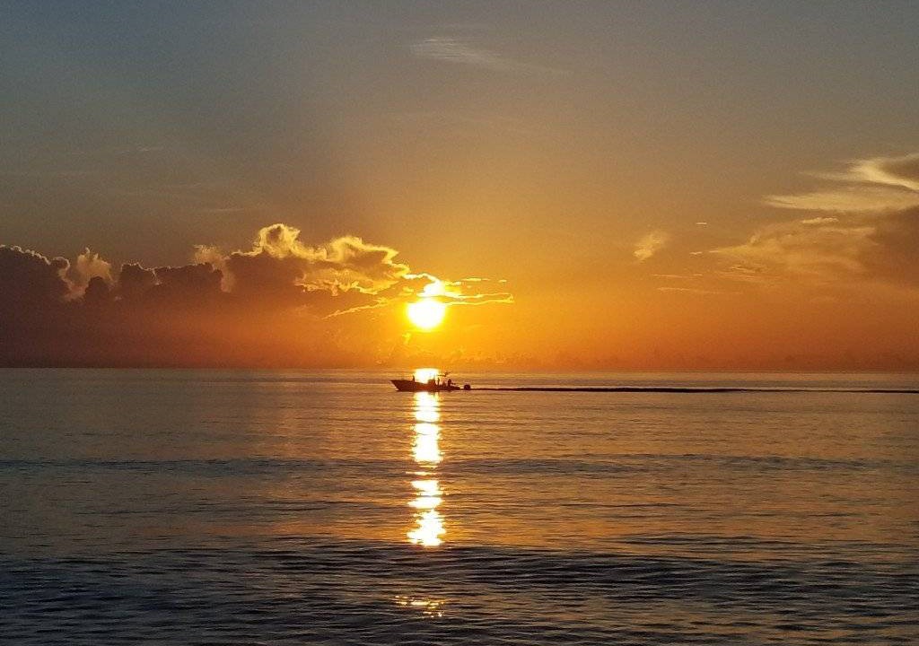 Photo of Others in Stuart