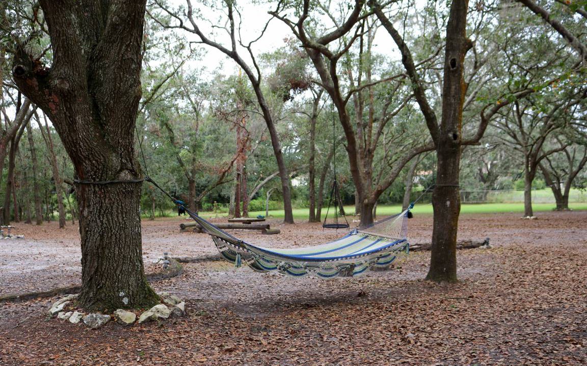 Photo of Others in Valrico