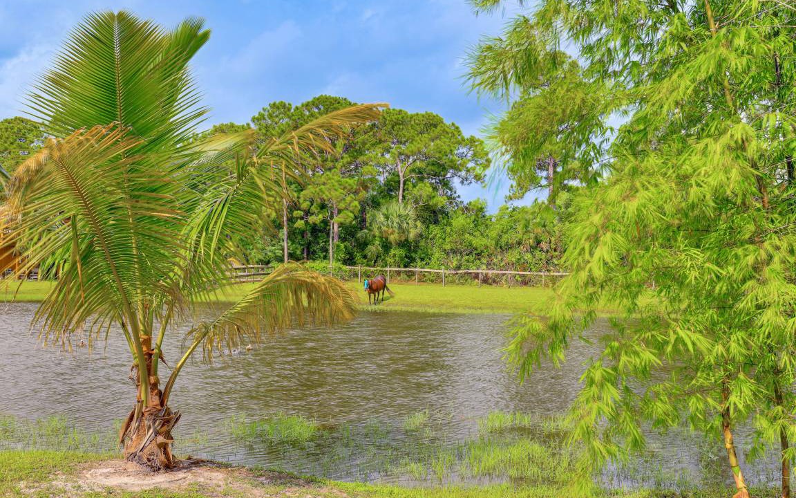 Photo of Others in Palm City