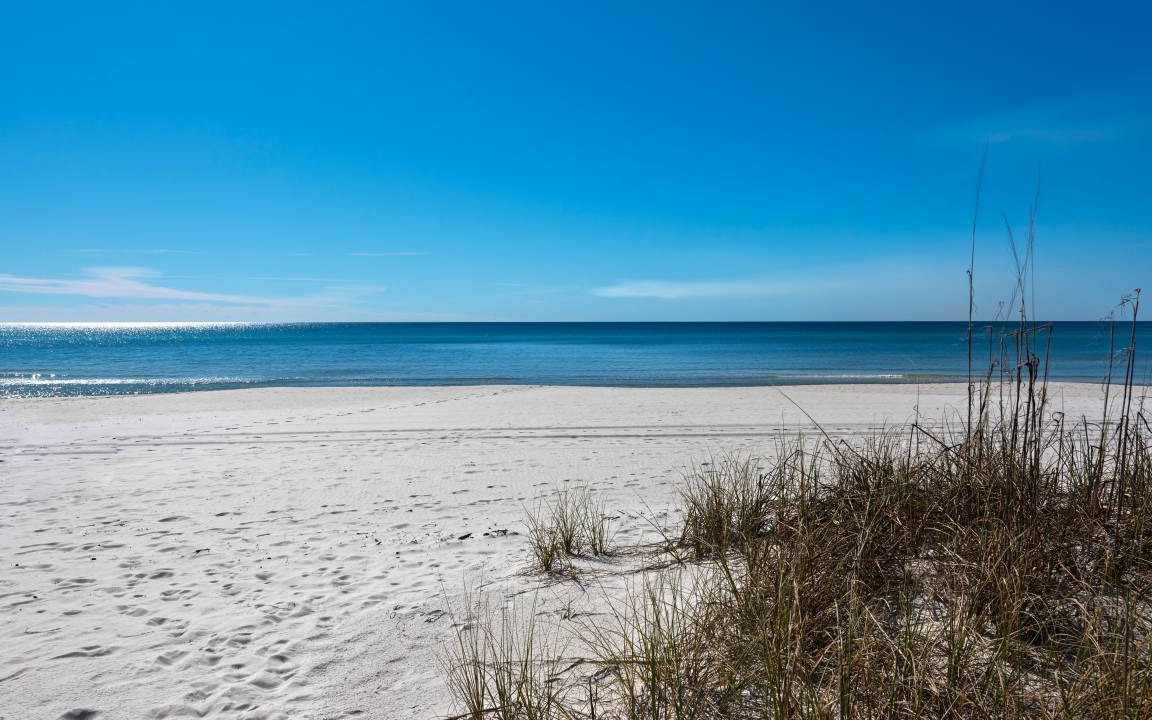 Photo of Others in Navarre Beach