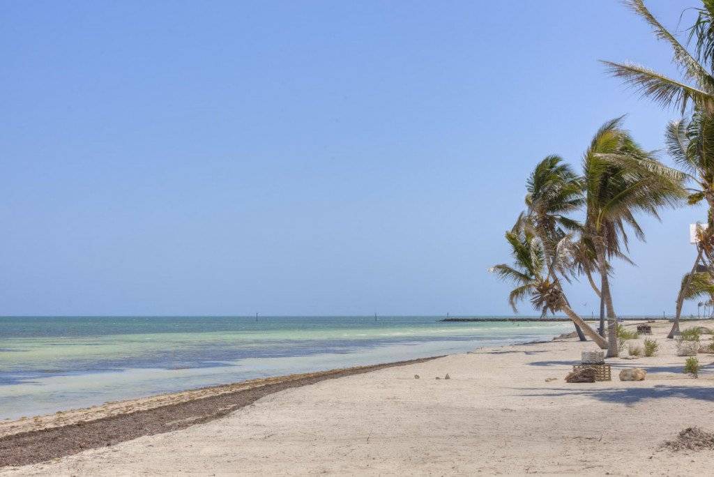 Photo of Others in Lower Matecumbe Beach