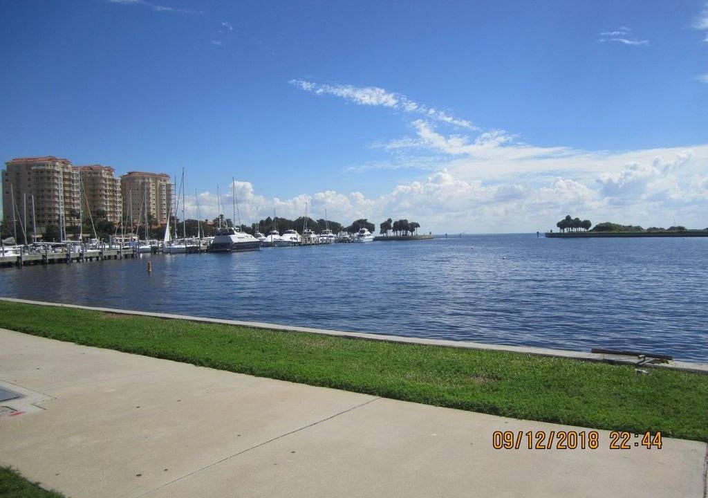 Photo of Others in St. Petersburg - Clearwater