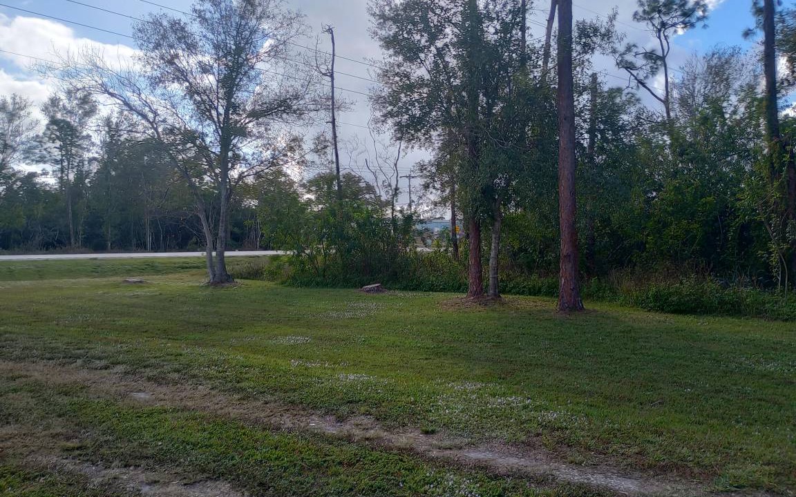 Photo of Others in Sebring