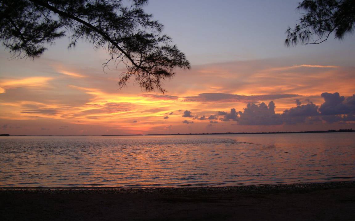 Photo of Others in Sanibel